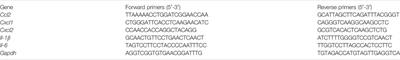 Human Amniotic Epithelial Cells and Their Derived Exosomes Protect Against Cisplatin-Induced Acute Kidney Injury Without Compromising Its Antitumor Activity in Mice